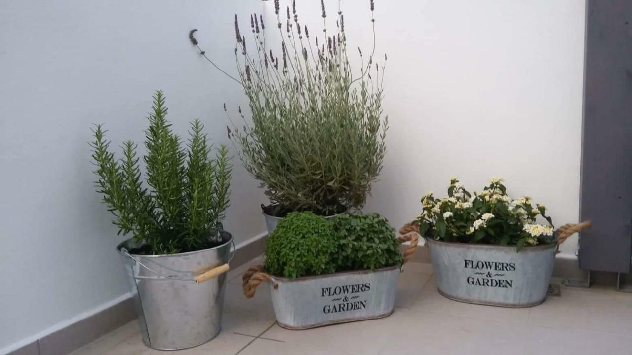 קאטו דרטסו Orama Suites I מראה חיצוני תמונה